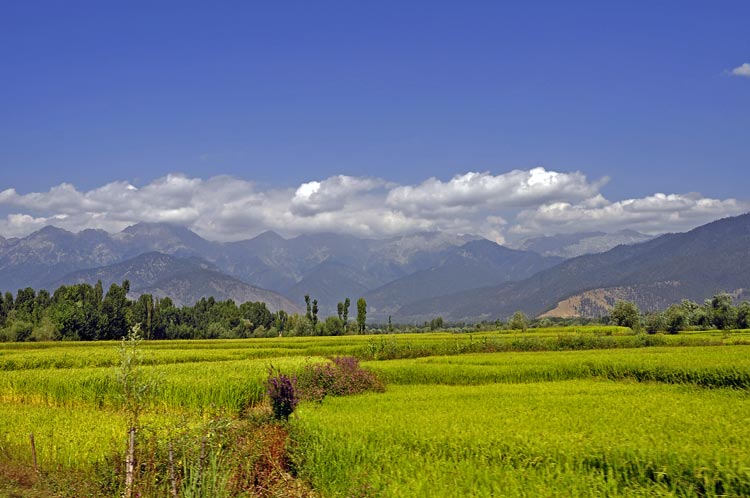 Pahalgam in Anantnag ist etwa 100 km von Srinagar entfernt Fotografie von Lothar Seifert